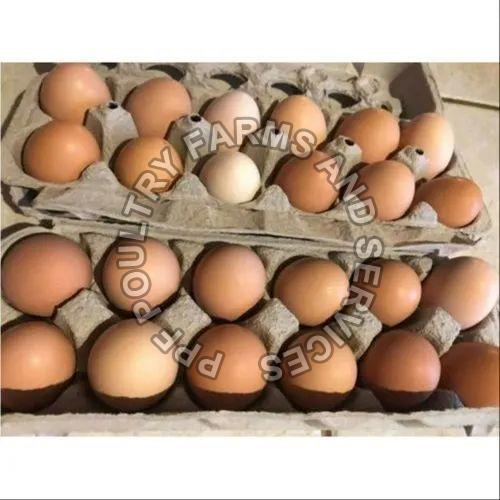 Dark Brown Eggs, for Bakery Use, Human Consumption, Style : Fresh