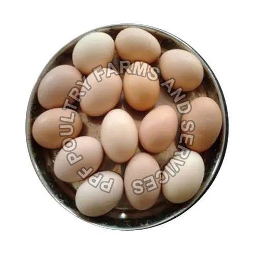 Desi Eggs, for Bakery Use, Human Consumption, Packaging Type : Tray