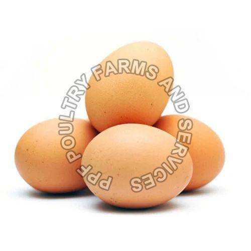 Light Brown Eggs