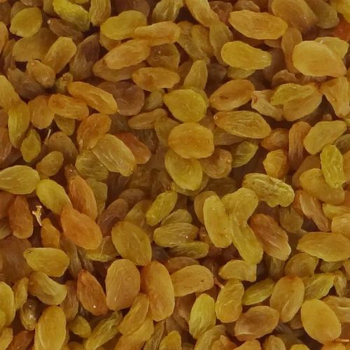 Harvest Hill Dried Golden Raisins, Packaging Size : Loose