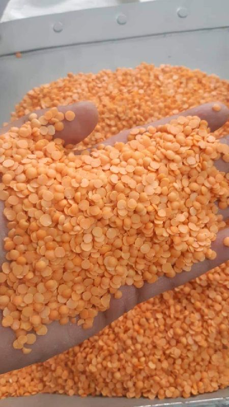 Natural Red Lentils, for Cooking, Packaging Type : Plastic Bag