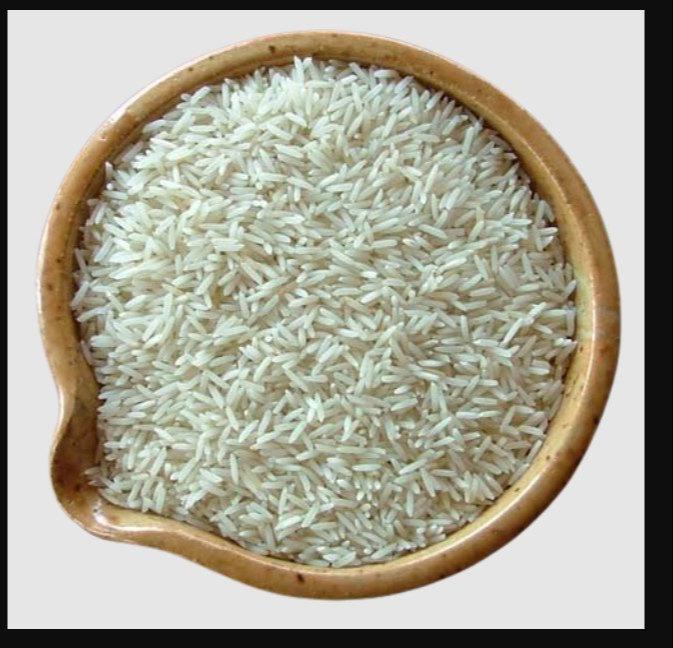Common basmati rice, for Human Consumption, Food, Cooking, Style : Fresh