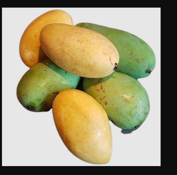 Kesar mango, for Direct Consumption, Food Processing, Juice Making, Style : Fresh