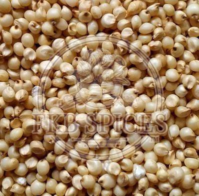 Sorghum Grain, Form : Seeds