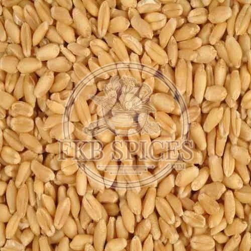 Wheat, Feature : Natural Taste