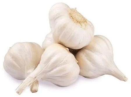 Natural Fresh White Garlic, For Human Consumption, Certification : Fssai Certified