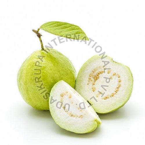 Natural Fresh Guava, for Human Consumption, Packaging Type : Plastic Box