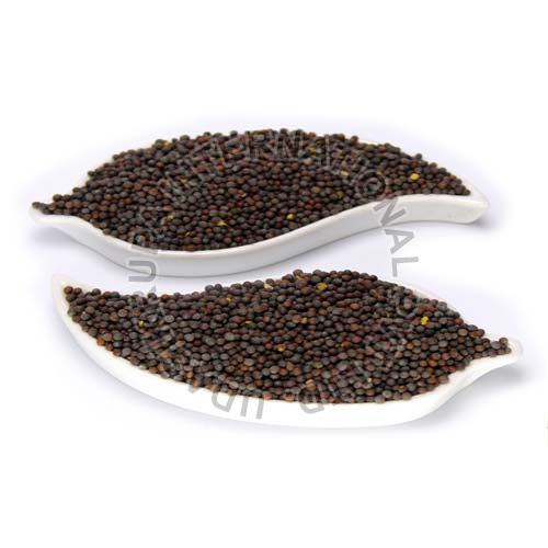 Natural Mustard Seeds, for Food Medicine, Packaging Type : Paper Box