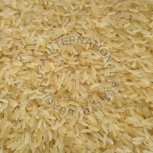 Hard Texture PR 11 Golden Rice