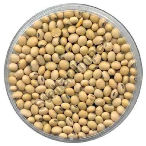Soybean Seeds Stellar Impex, Neemuch, Madhya Pradesh