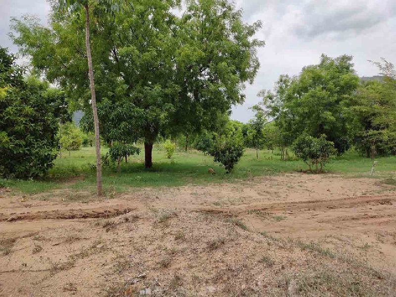 Farmland for sale in Bangalore & farm house plots Trader Blooms Eco