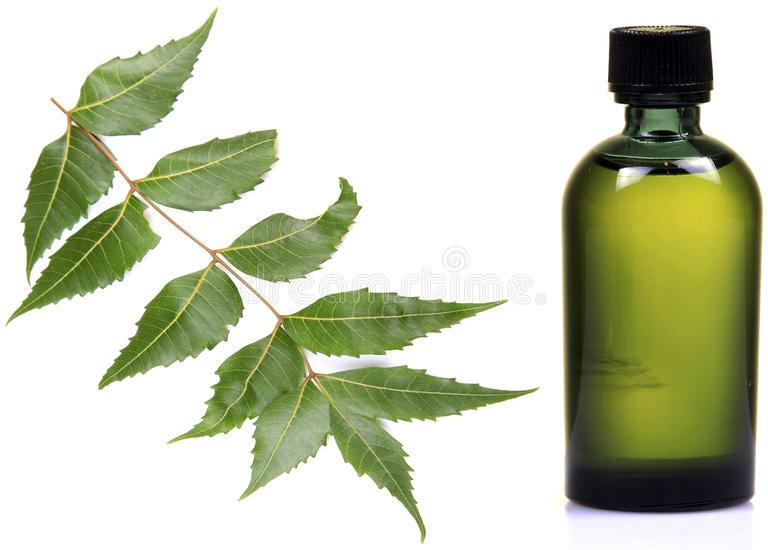 Cold Pressed Organic Neem Oil