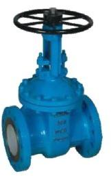 gate valve