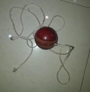 Hanging Cricket Leather Ball