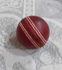 Junior Cricket Leather Ball