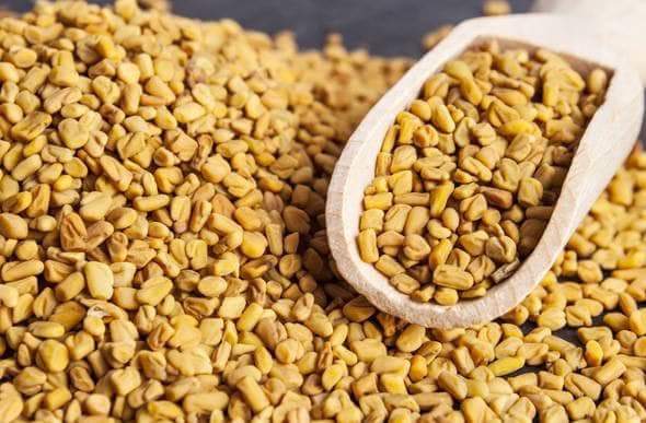 Raw Natural Fenugreek Seed, For Food Medicine, Spices, Cooking, Shelf Life : 6 Month