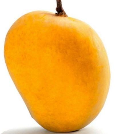 fresh mango