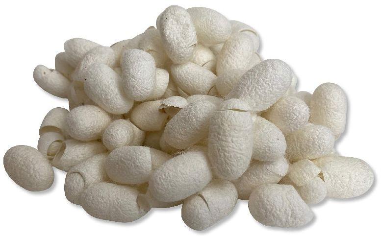 Mulberry Silk Cut Cocoons, Purity : 99.99%, 99.99%
