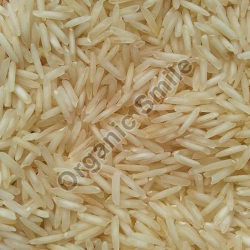 Organic Pusa Basmati Rice, for High In Protein, Variety : Long Grain