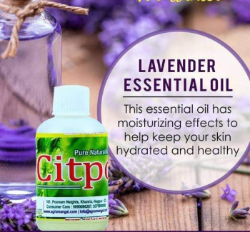 CitSpray Lavender Essential Oil, for Cosmetics, Pharmas, All