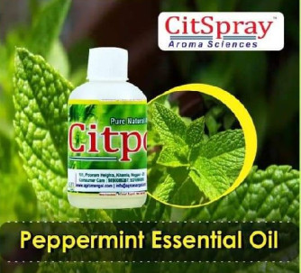 Peppermint oil, Certification : CE Certified ISO 9001:2008