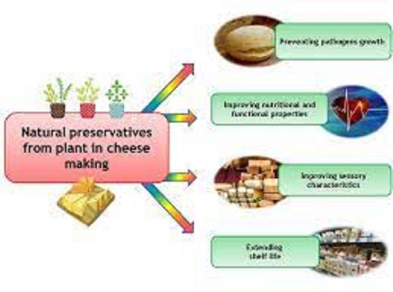 Food Preservative,food preservative