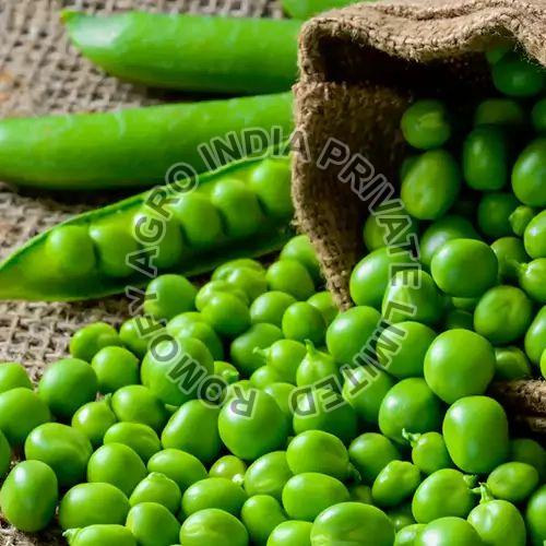 Fresh Green Peas Romofy Agro India Pvt Ltd, Mumbai, Maharashtra