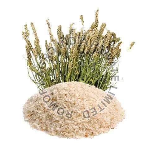Psyllium Husk Powder at Best Price in Mumbai Romofy Agro India Pvt Ltd