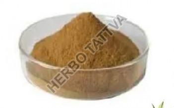 Safed Musli Extract Powder 20% - 40%