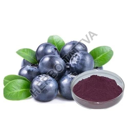Acai Berry Extract, Packaging Type : Plastic Packets