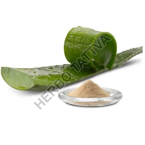 Aloe Vera Extract, for Medicinal, Food Additives, Form : Powder