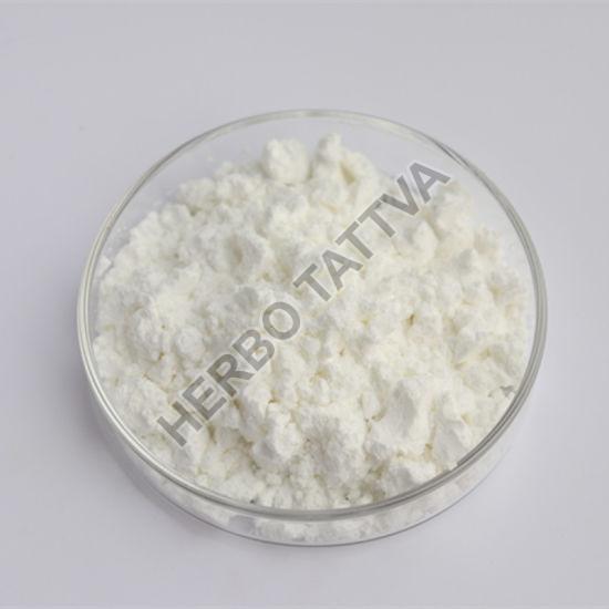 Andrographolide Extract, Form : Powder