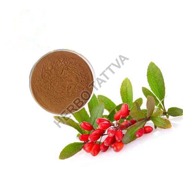 Barberry Extract, for Medicinal, Form : Powder