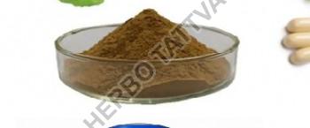 Herbo Tattva Ginkgo Biloba Extract 24%, for Medicinal, Form : Powder