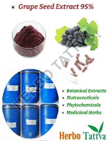 Grape Seed Extract 95%, for Food Medicine, Packaging Type : HDPE