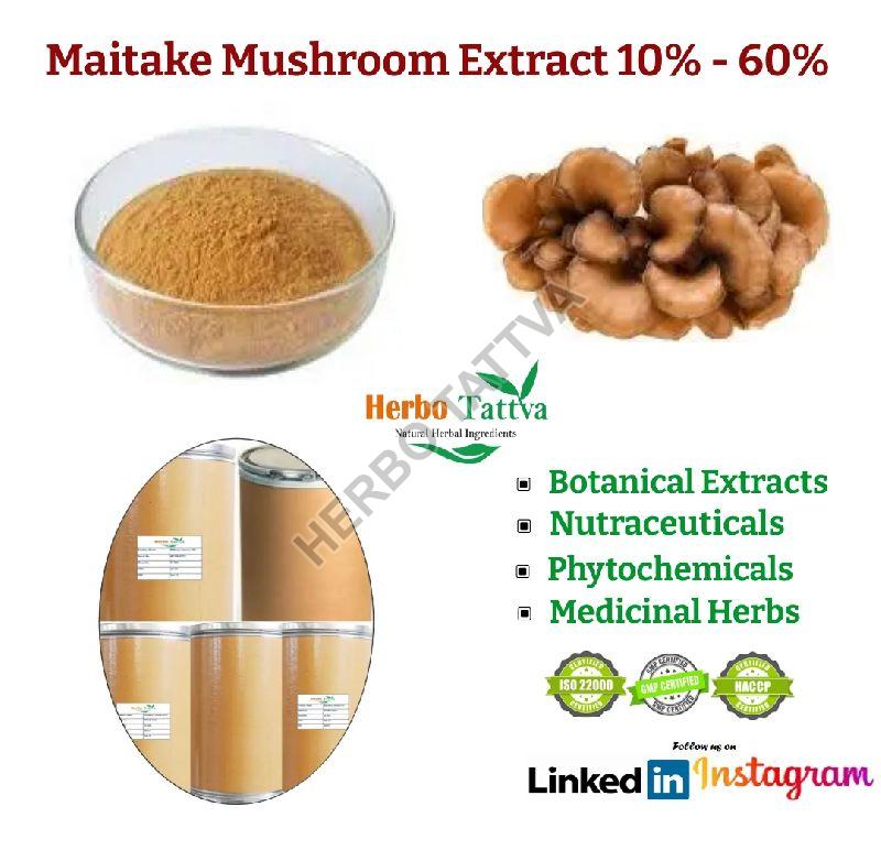 Maitake Mushroom Extract 10%-60%, Packaging Type : HDPE