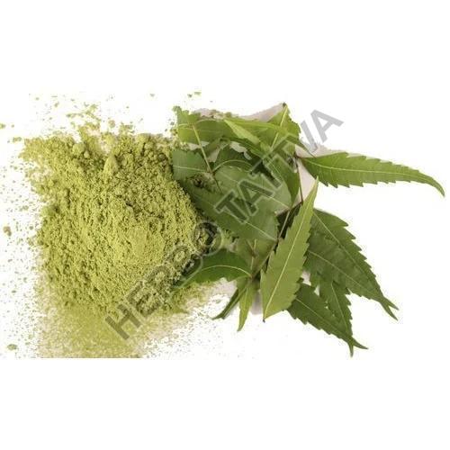 Neem Extract, for Medicinal, Form : Powder