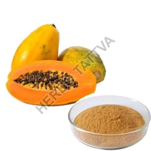 Papaya Extract, for Medicinal, Food Additives, Form : Powder