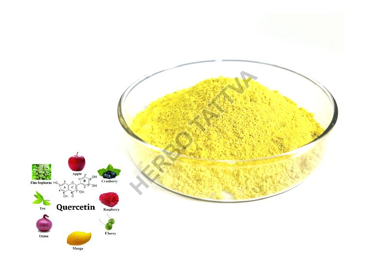 Quercetin Extract, Usage Medicinal Herbo Tattva, Bulandshahr, Uttar