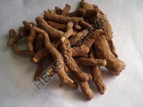 Natural Sarpagandha Roots (Rauvolfia Serpentina), for Medicinal