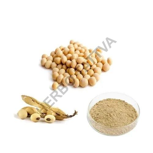 Soy Isoflavone Extract, Packaging Type : PP Bags