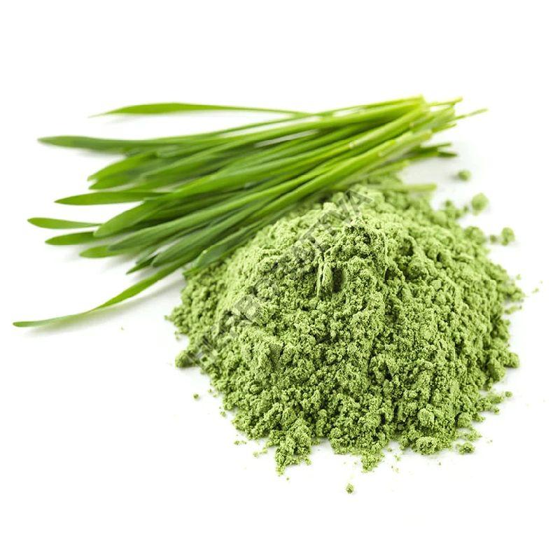 Wheat grass powder, Packaging Type : PP Packets