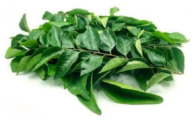 Natural Fresh Curry Leaves, for Cooking, Certification : FSSAI Certified