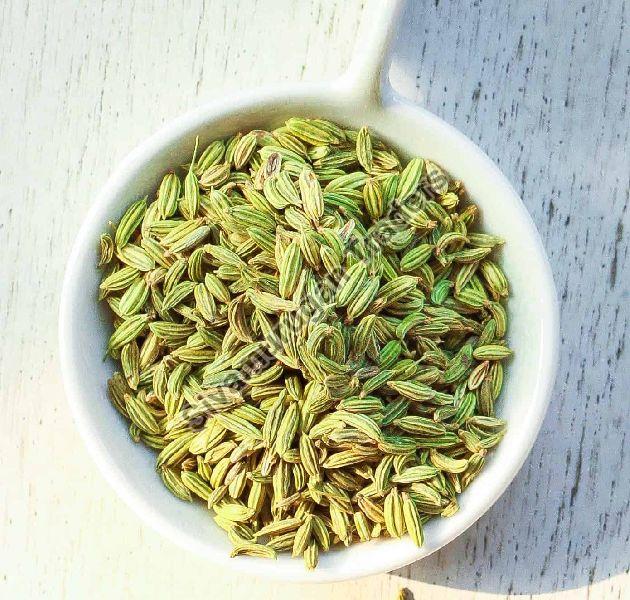 Organic Fennel Seeds, for Food Medicine, Packaging Type : Plastic Packet