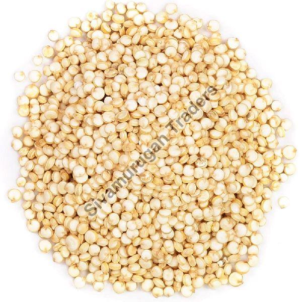 Organic Quinoa Seeds