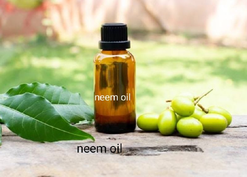 Organic neem oil, Packaging Type : Packed In Bottles