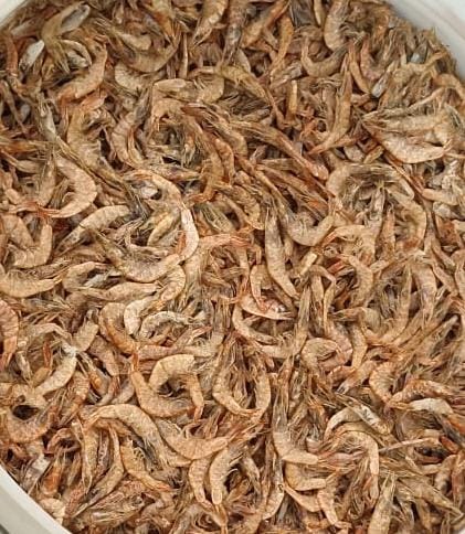 Dried Prawns, For Cooking, Food, Feature : Non Harmful
