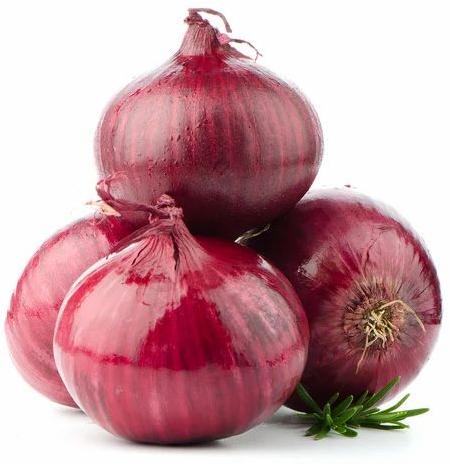 Oval Natural fresh onion, Color : Red