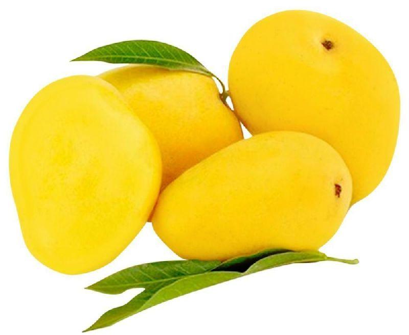 Natural Fresh Mango, Color : Yellow