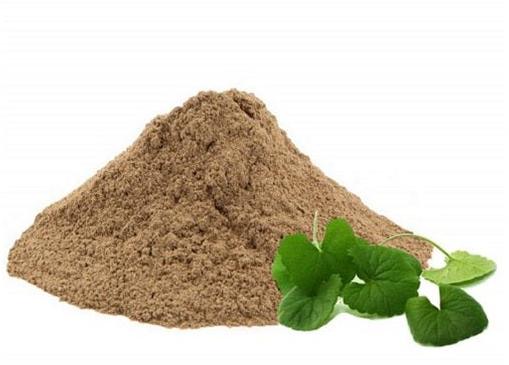 Gotu Kola Extract Powder, Packaging Size : 5 Kg